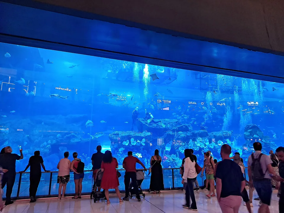 Dubai Aquarium & Underwater Zoo